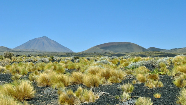 imagen Casi el 10% de la tierra rural de Mendoza está en manos extranjeras 