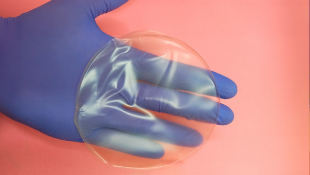 imagen Desarrollaron un apósito que reduce el tiempo de curación de heridas y minimiza las cicatrices
