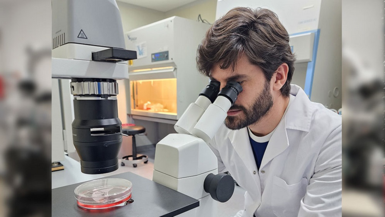 imagen Identifican nuevo mecanismo de regeneración celular que protege al tejido pulmonar de las infecciones virales agudas