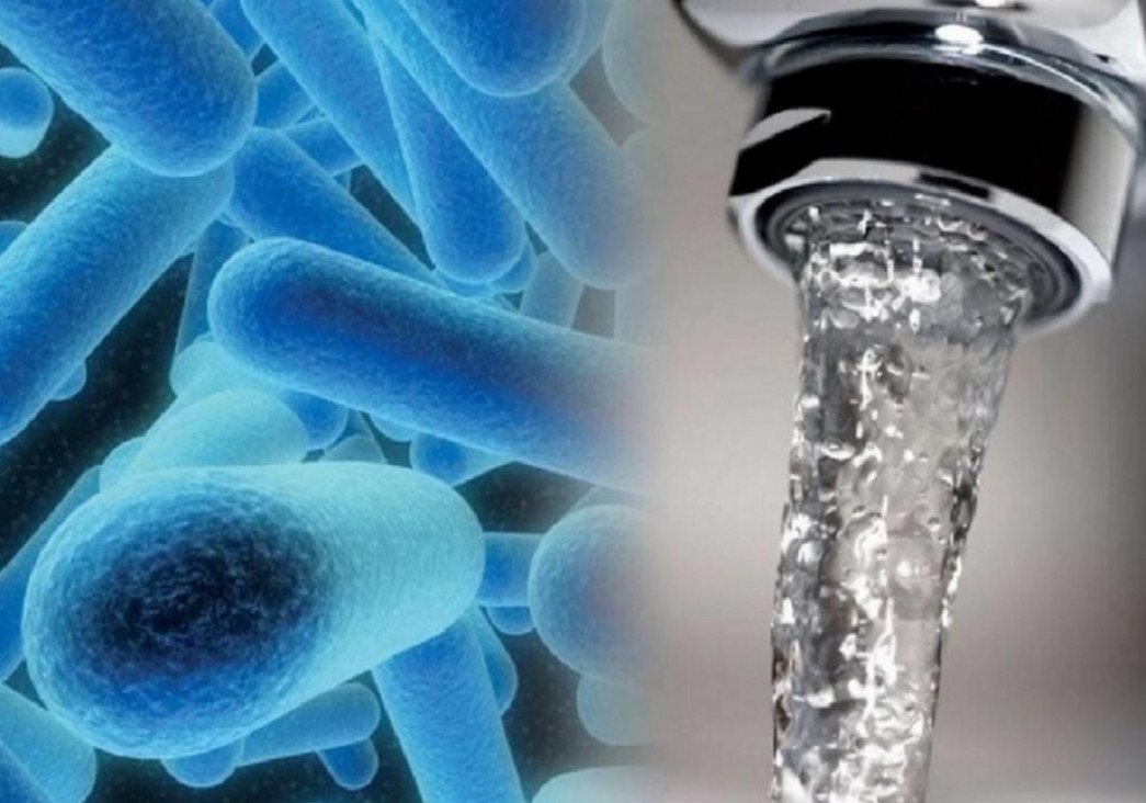 imagen Legionella, la bacteria que obliga a controlar los sistemas de climatización y el agua en hospitales
