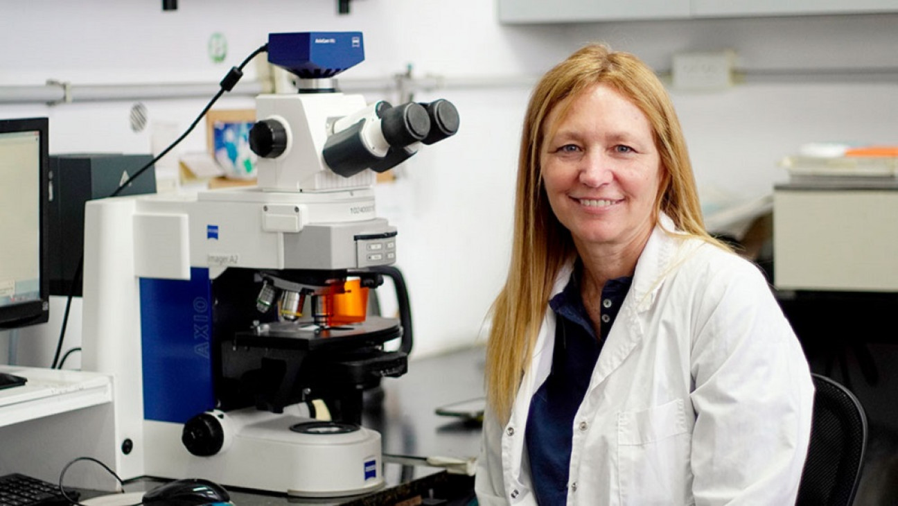 imagen Premiaron a una investigadora del Conicet por crear un método para que las plantas resistan las olas de calor
