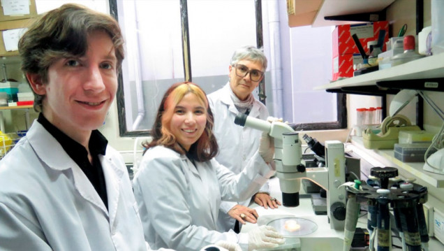imagen Comprueban que las olas de calor reducen la fertilidad masculina