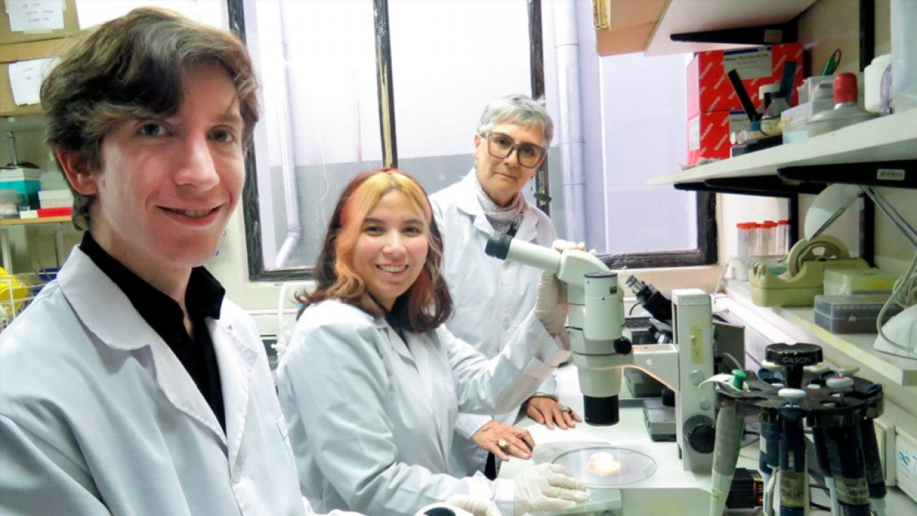 imagen Comprueban que las olas de calor reducen la fertilidad masculina