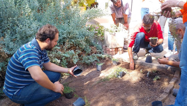imagen Mucho más que podar plantas: una iniciativa busca profesionalizar la jardinería en Mendoza