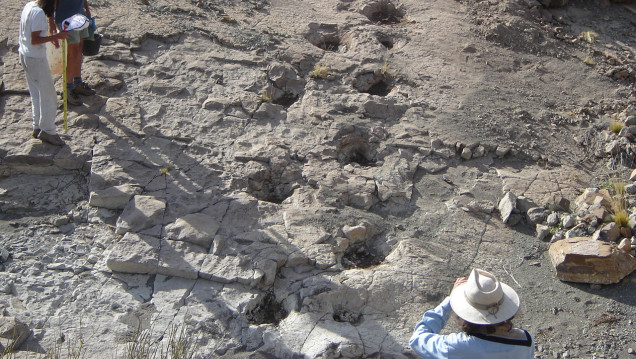 imagen "Huellas de dinosaurios": avanza un nuevo y único museo a cielo abierto en Malargüe