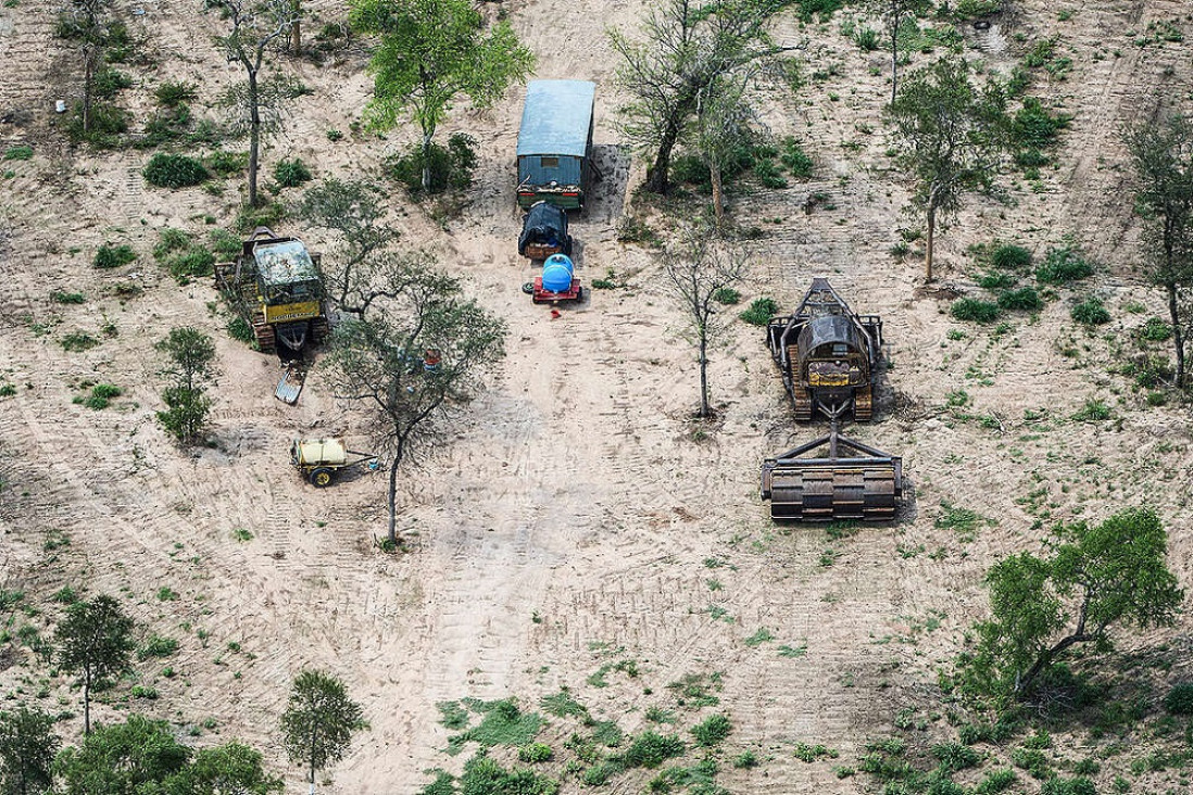imagen En 25 años, Argentina deforestó el equivalente a una provincia entera