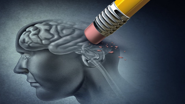 imagen Diseñan un modelo que simula la actividad cerebral para ensayar tratamientos de enfermedades neurodegenerativas