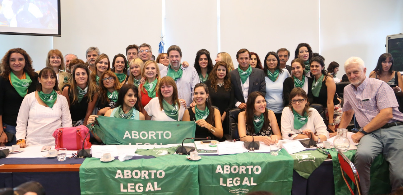 imagen Aborto legal: las claves del proyecto