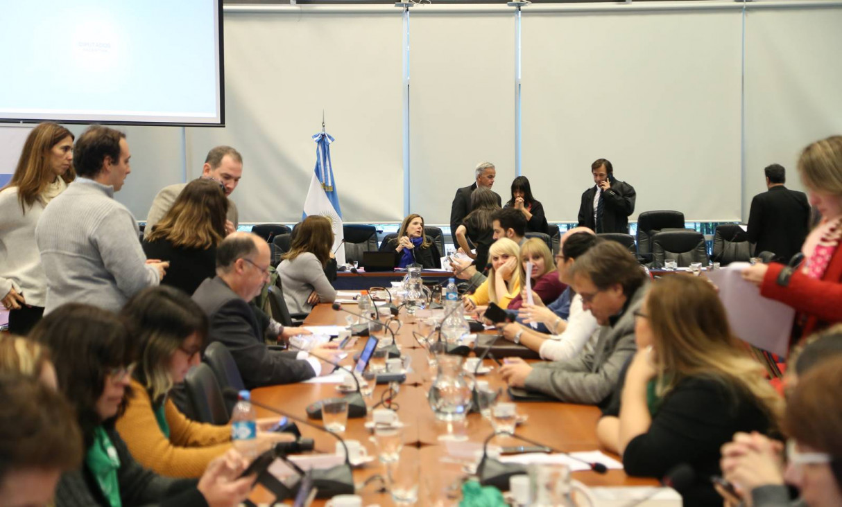 imagen Aborto legal: la votación en la Cámara de Diputados será el 13 de junio