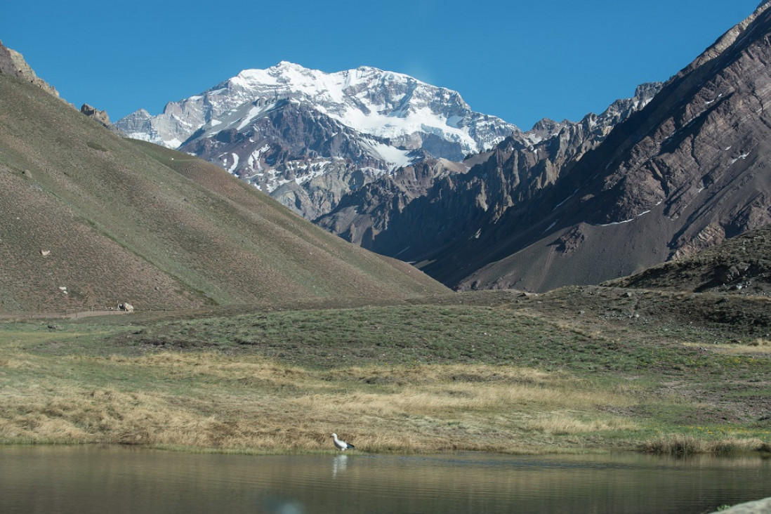 imagen Temporada en el Aconcagua: primer ascenso a la cumbre y más rescates 
