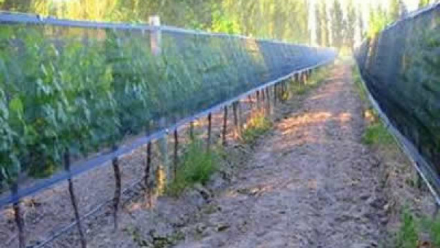imagen El Gobierno firma convenios para fortalecer la Agricultura Familiar y asiste a los municipios afectados por el granizo