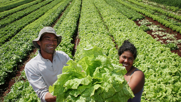imagen Agricultura y medio ambiente