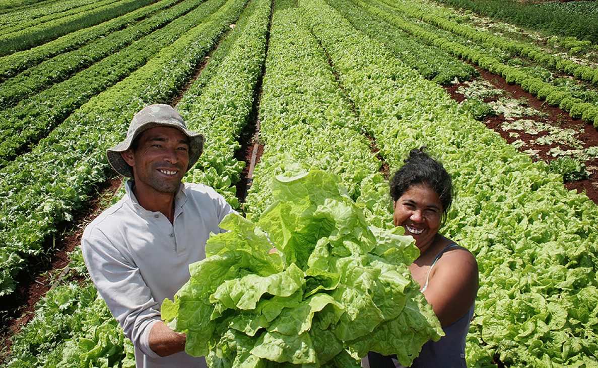 imagen Agricultura y medio ambiente