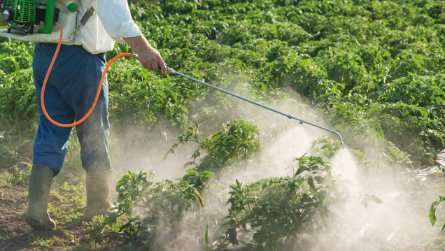 imagen Reflotarán ley para vender agroquímicos bajo receta