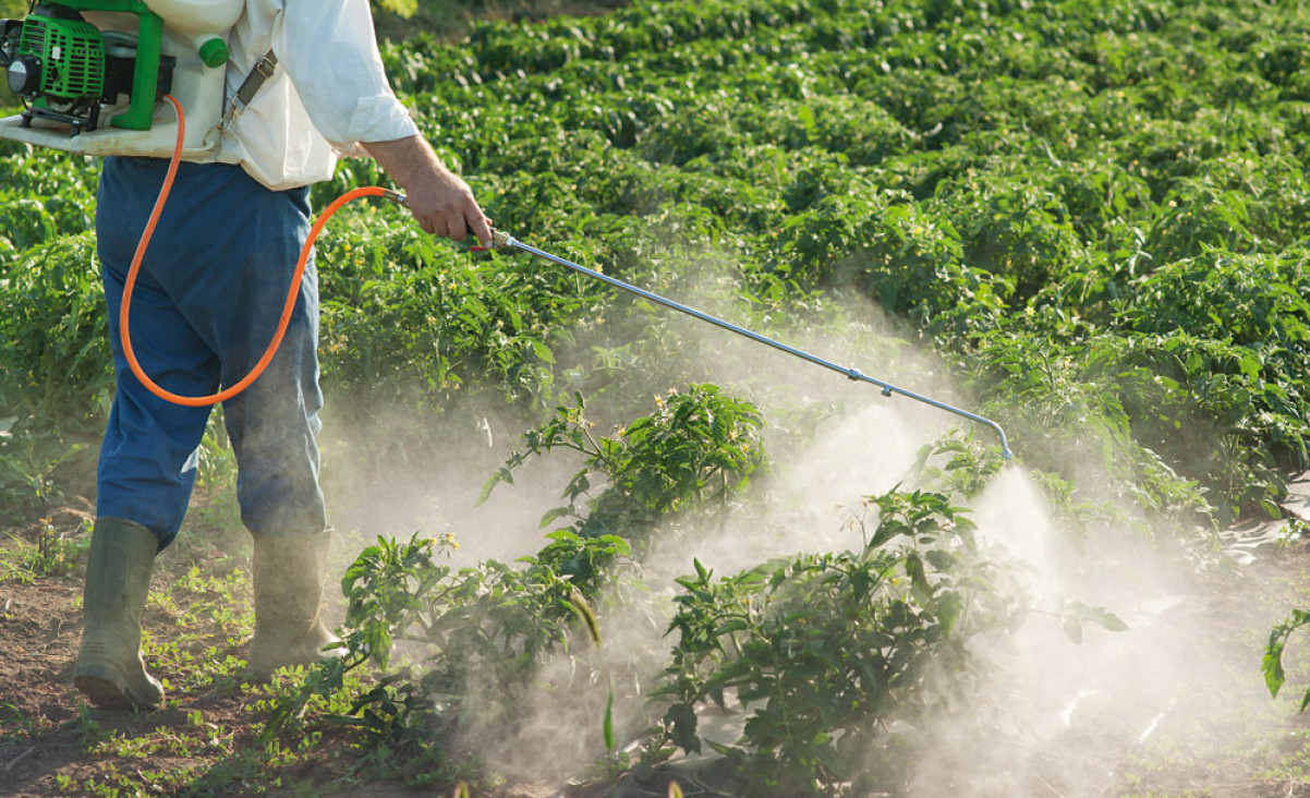 imagen Reflotarán ley para vender agroquímicos bajo receta