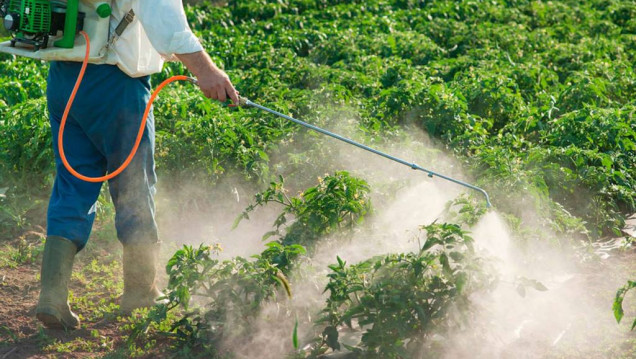 imagen Fijan plazo de 90 días para regular el uso de agroquímicos en zonas urbanas