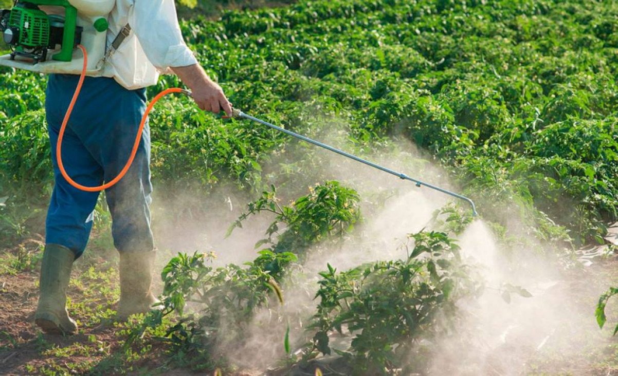 imagen Fijan plazo de 90 días para regular el uso de agroquímicos en zonas urbanas