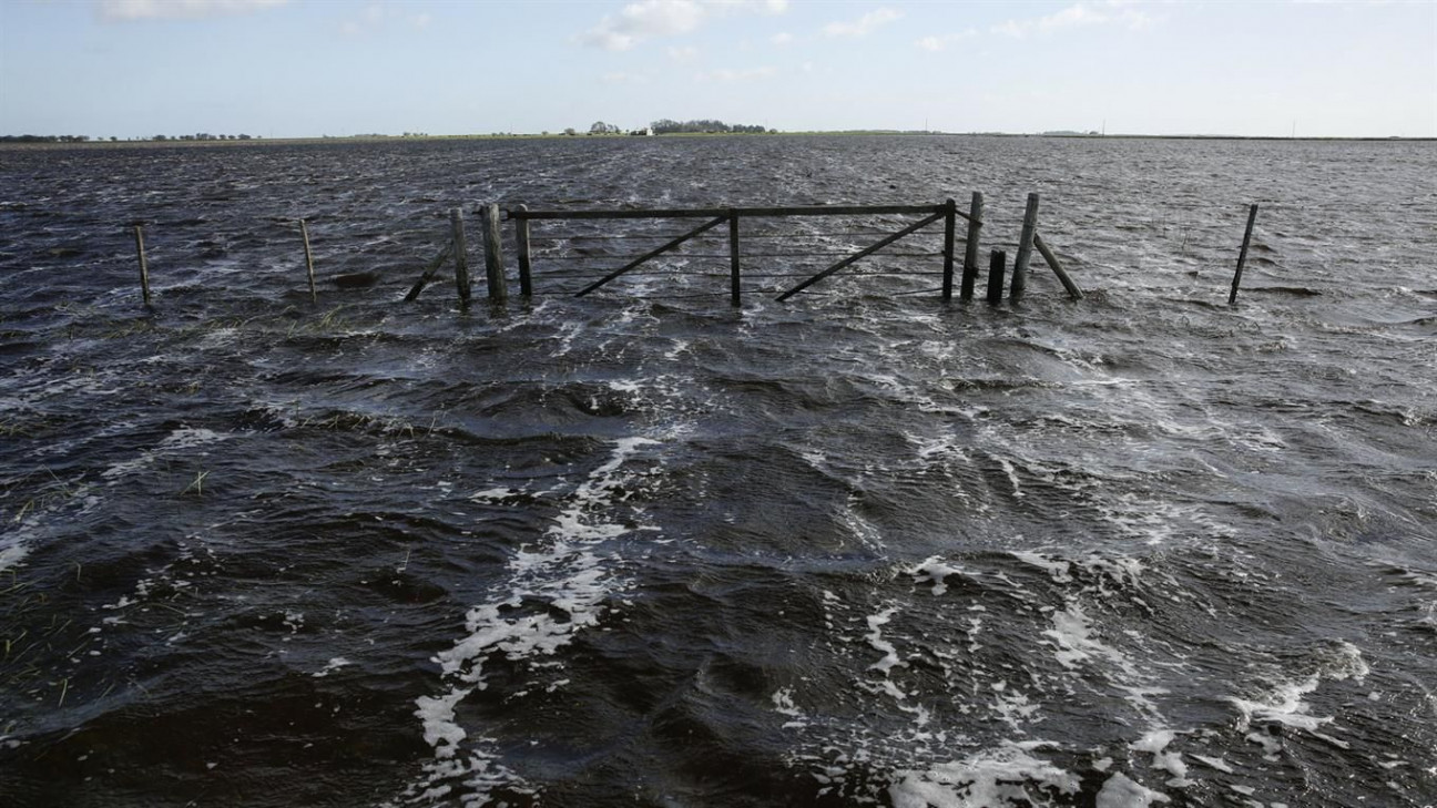 imagen Suben a 10 millones las hectáreas afectadas por las inundaciones