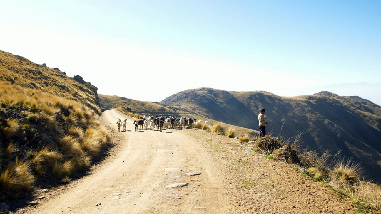 imagen "Sin agua no hay membrillo", el documental que denuncia la megaminería en Catamarca