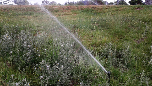 imagen Recurso escaso: el agua bajo la mirada experta