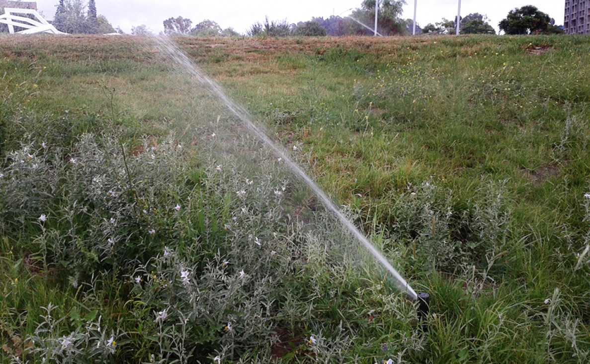 imagen Recurso escaso: el agua bajo la mirada experta