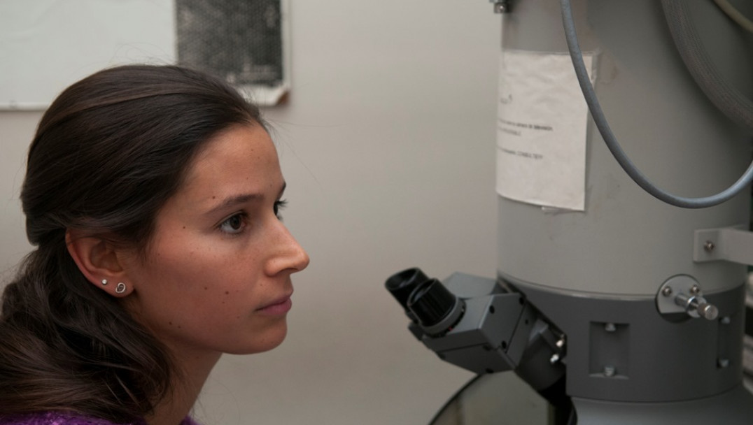 imagen Los microscopios