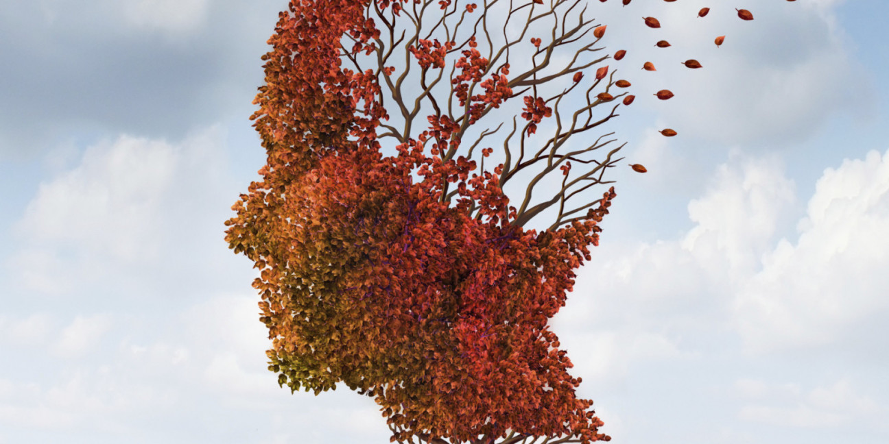 imagen ¿Es posible revertir la pérdida de memoria causada por el Alzheimer?