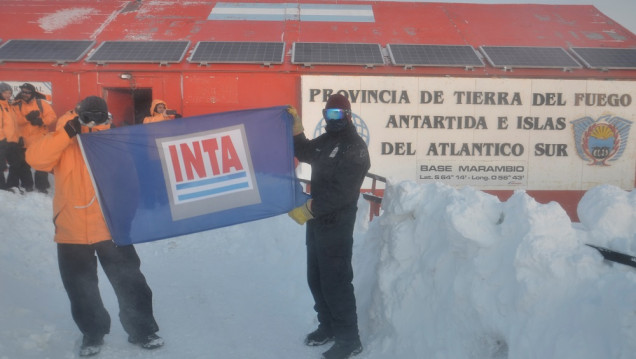 imagen Argentina ya cultiva verduras en la Base Marambio con técnica hidropónica