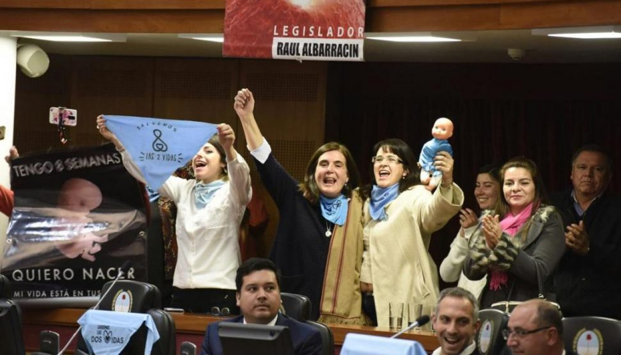 imagen En Tucumán, legisladores buscan prohibir el aborto no punible