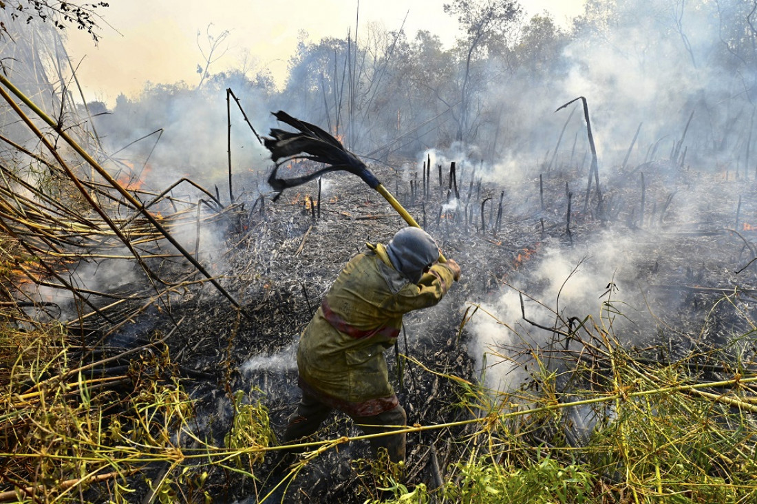 imagen  Incendios, sequías prolongadas y la bajante histórica del Paraná: los principales problemas ambientales en 2022