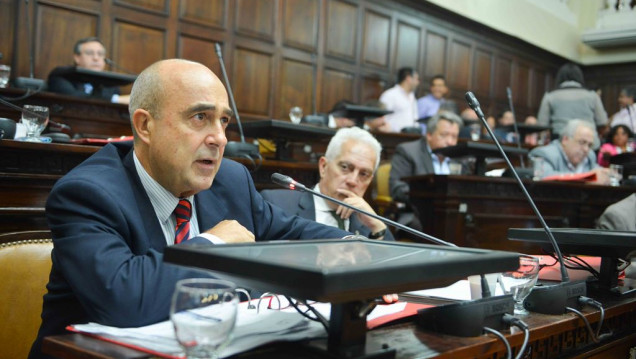 imagen Senado: Camerucci presidirá el bloque radical