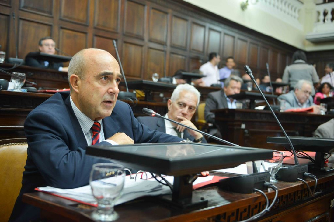 imagen Senado: Camerucci presidirá el bloque radical