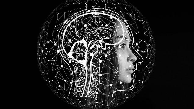 imagen ¿El cerebro tiene género?: deconstruyendo la mirada neurosexista