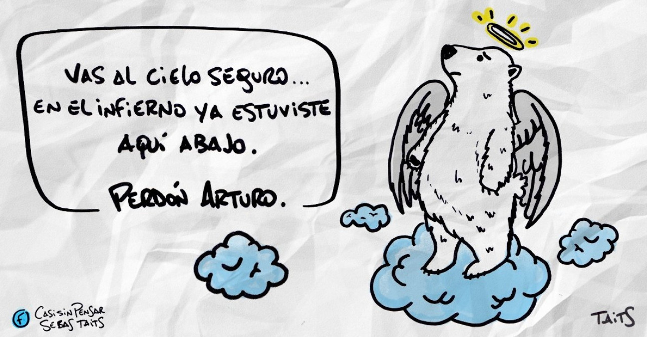imagen Video: "Arturo comenzó su viaje al cielo de los osos"