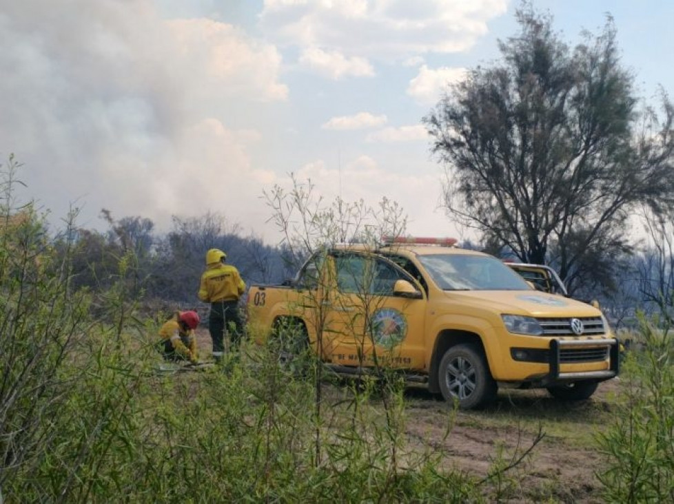 imagen Incendios en el Sur: sin víctimas, pero con grandes pérdidas