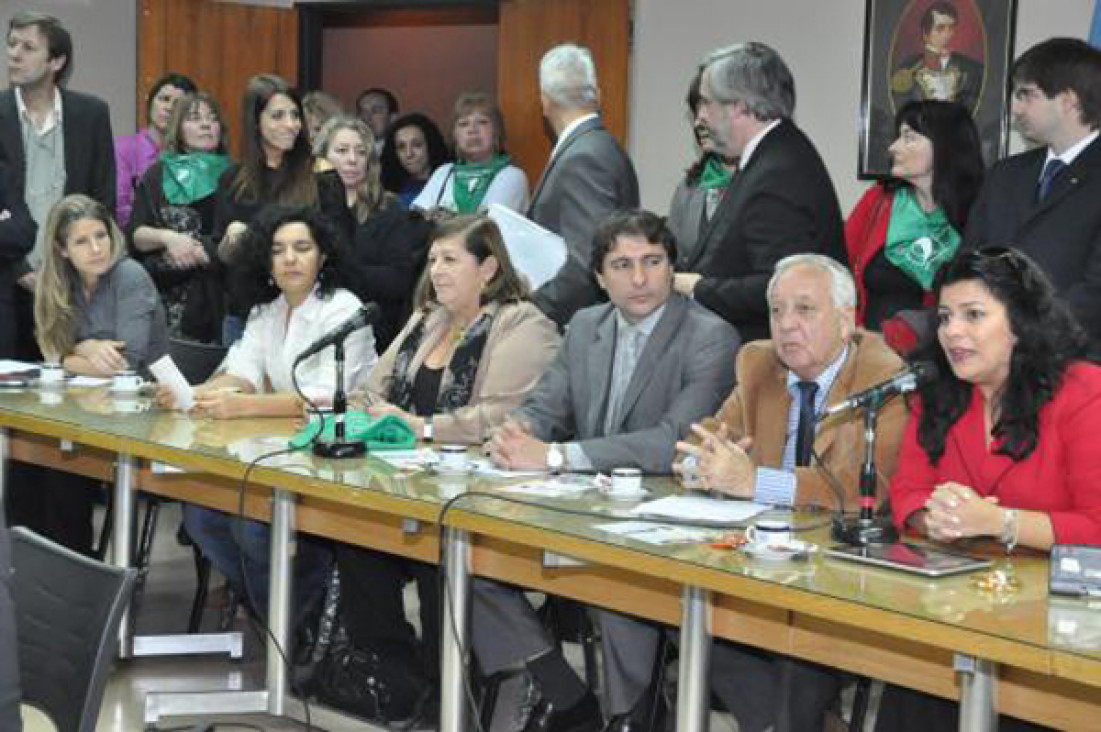 imagen Aborto: marchas y contra marcha en el dictamen para la despenalización del aborto