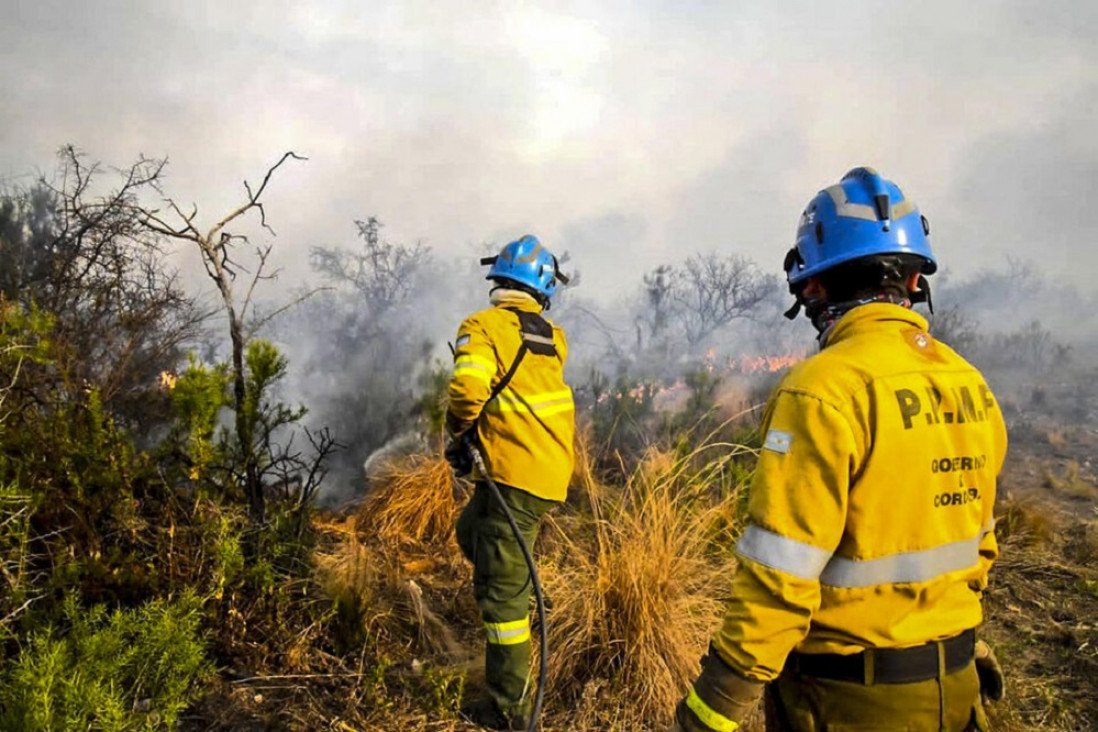imagen Por el récord de incendios, Amnistía Internacional instó a los gobiernos sudamericanos a evitar una catástrofe climática