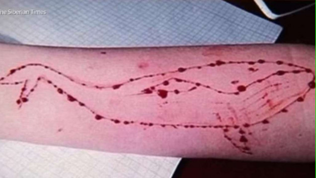 imagen Fallo inédito contra el juego suicida "La Ballena Azul"