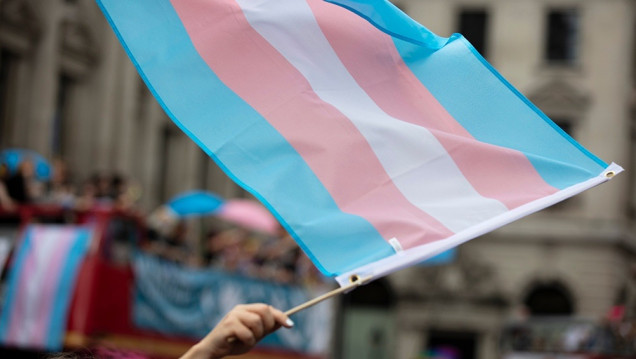 imagen Veinte personas acuden por mes al consultorio de hormonización del Hospital Central