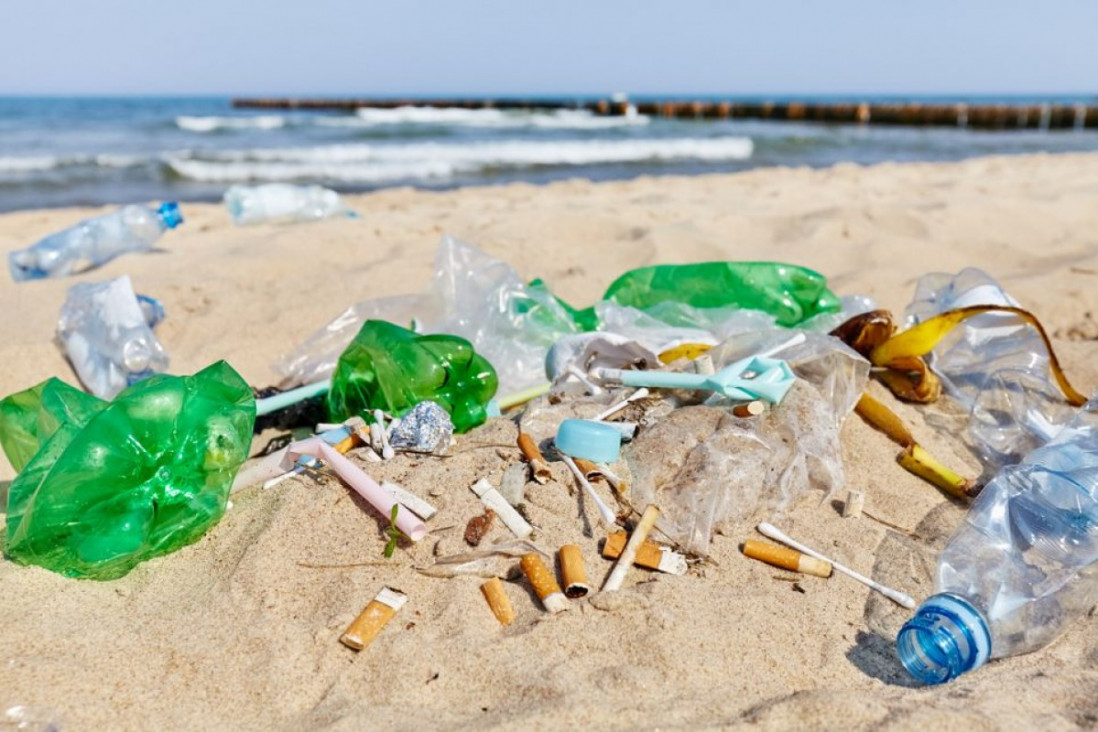imagen Más del 70% de los residuos censados en las playas bonaerenses continúa siendo plástico