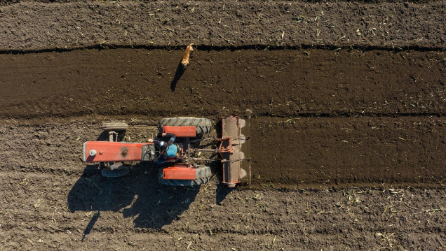 imagen En Mendoza disminuyen las fincas pequeñas y crecen las grandes