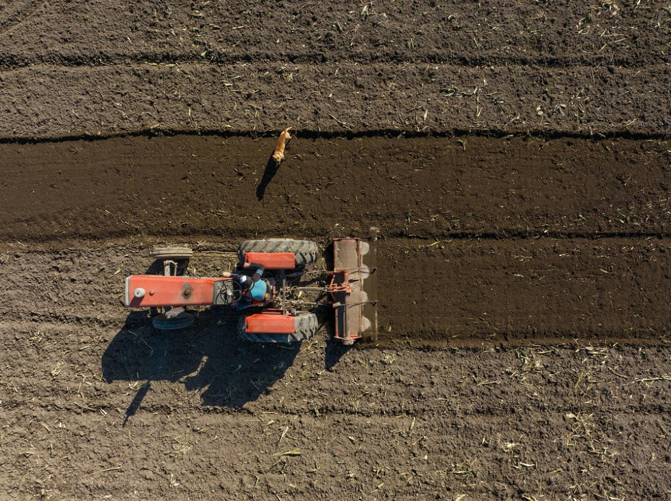 imagen En Mendoza disminuyen las fincas pequeñas y crecen las grandes