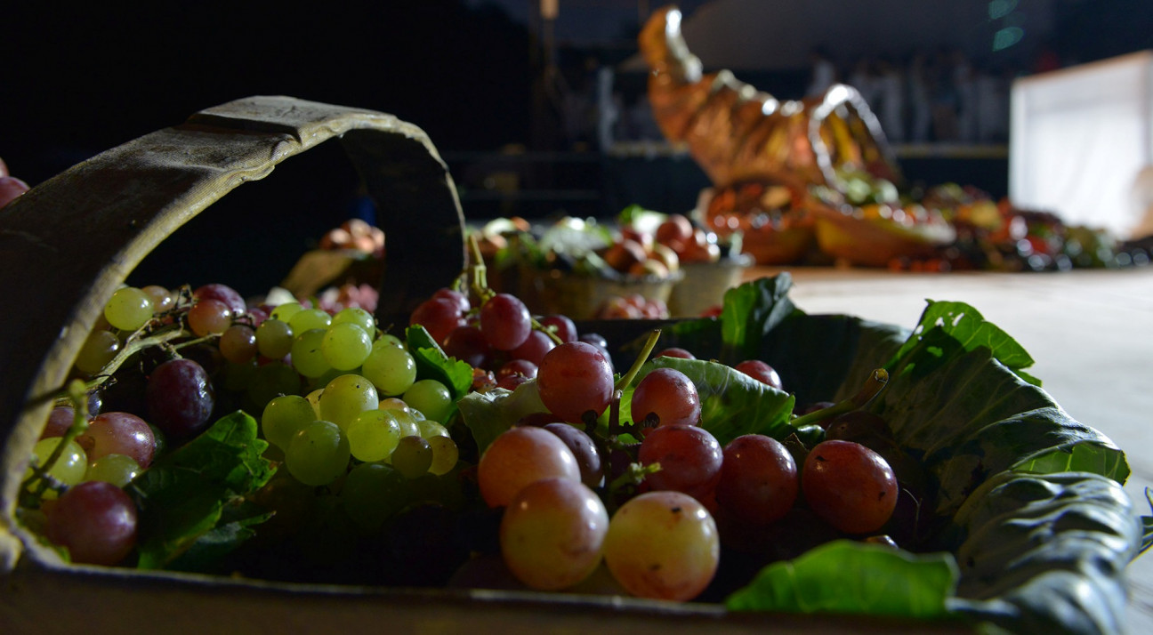 imagen Seguí en vivo la Bendición de los Frutos