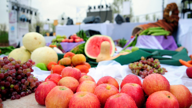imagen Seguí en vivo la Bendición de los Frutos