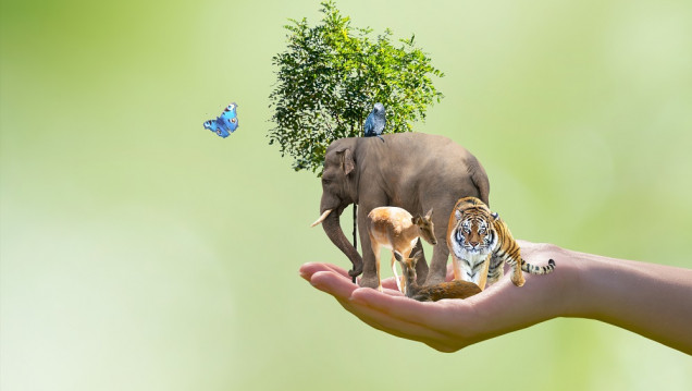 imagen Importante premio para una herramienta para procesar y limpiar datos sobre biodiversidad 