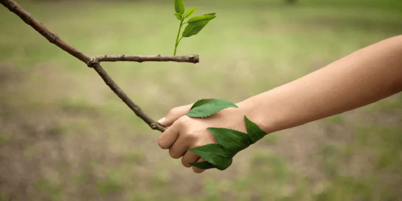 imagen Si no conservamos la biodiversidad del planeta, está en riesgo la salud y la vida humana