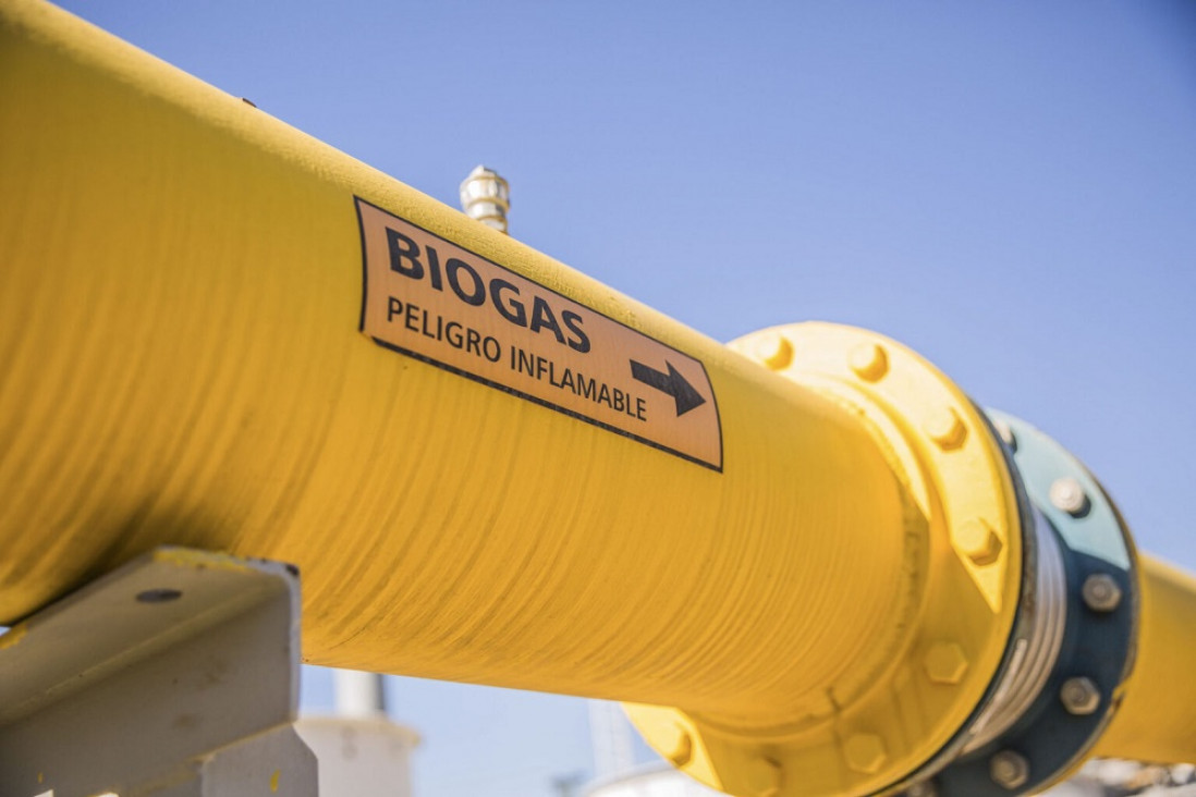imagen Biogás, una alternativa sustentable para satisfacer la demanda eléctrica a bajo costo