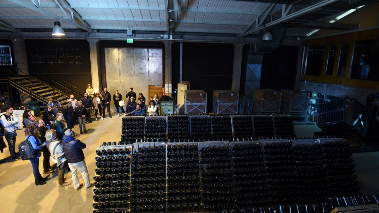 imagen El paro vitivinícola de 48 horas comenzó en Mendoza con cortes en las bodegas