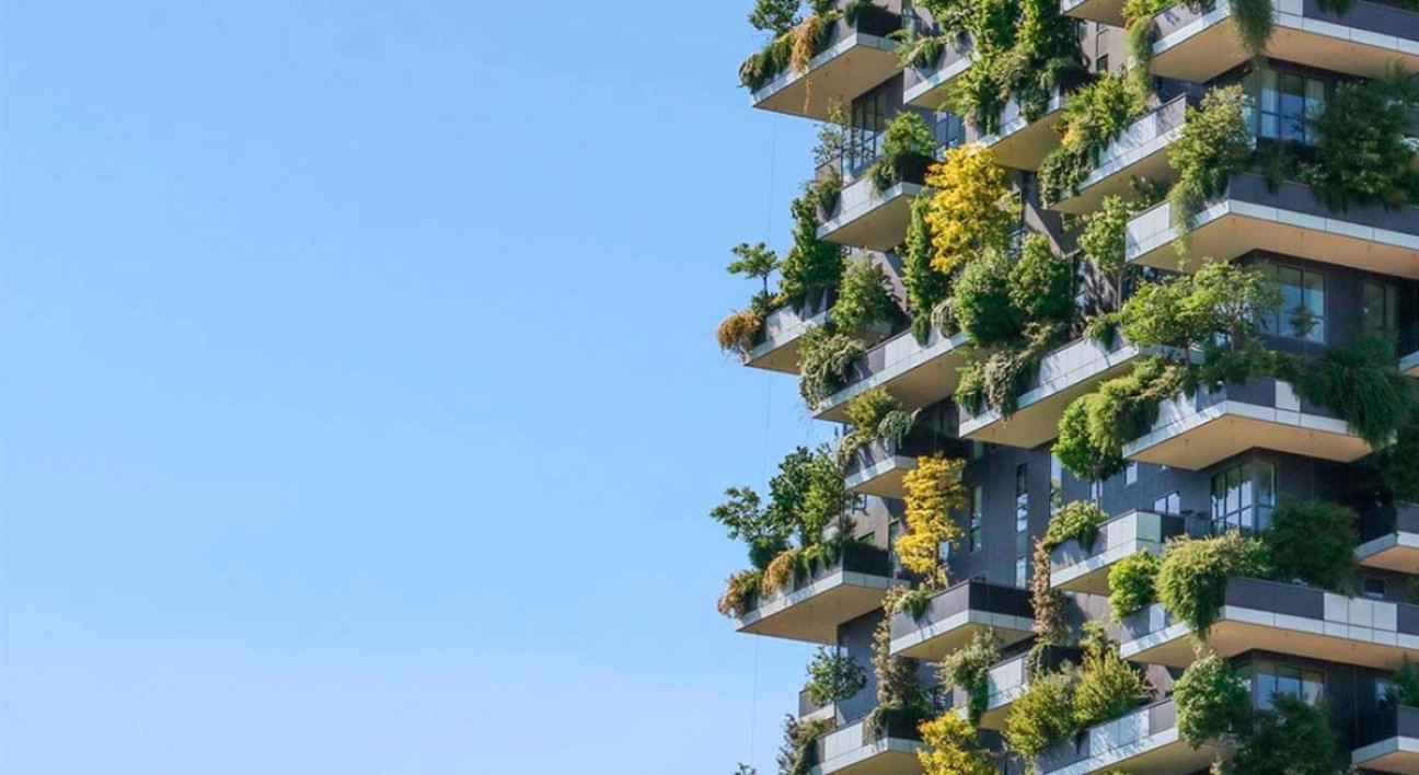 imagen Ofrecen capacitación de arquitectura sobre ambiente y desarrollo sostenible