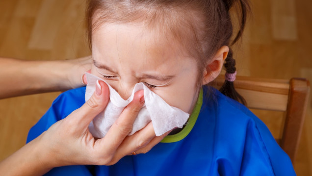 imagen Aumentan los cuadros respiratorios: qué virus circulan y qué enseñó la pandemia para la prevención